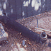 Sewer Cleanout